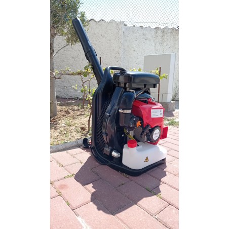 Soplador SG-EB800 - Vanessa y Jonathan SL