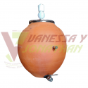 DOLIUM